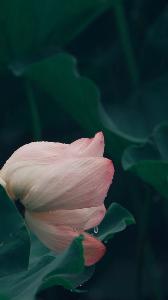 在华山邂逅现代版的“孤舟蓑笠翁”