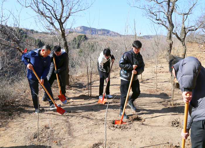 踏青植树，红叶谷3月门票半价优惠