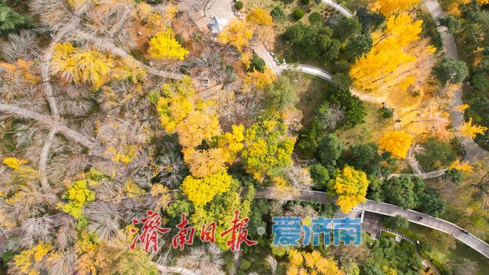 济南泉城公园冬景如画 层林尽染引客打卡