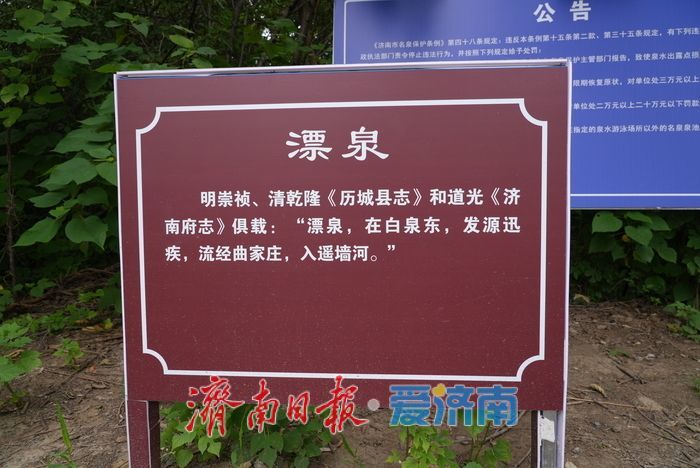 一年四季 泉在济南丨济南鲍山“漂泉”完成便民改造，古泉焕新迎客来