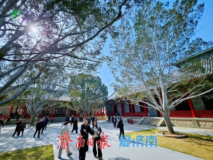 古松映古建 文脉润泉城