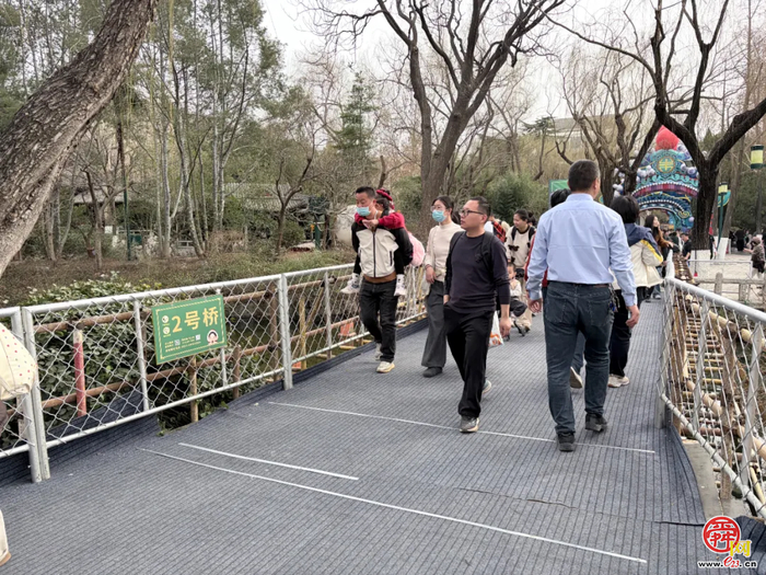 天下第一泉风景区新春活动圆满收官 泉韵年味引爆春节文旅市场