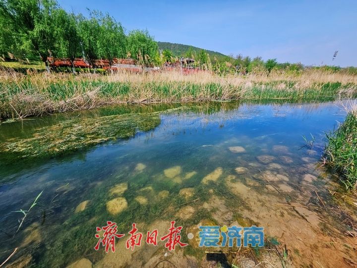 春意盎然满目新 龙鼎滨水公园尽展生态好风光