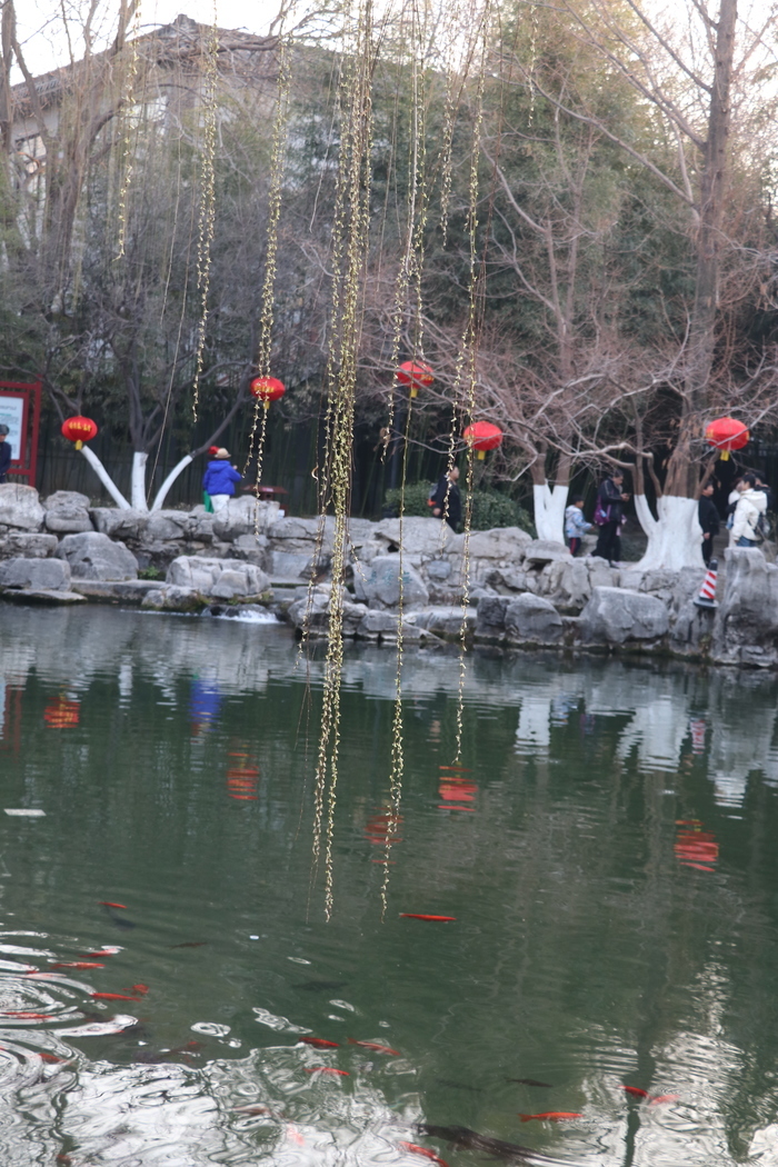 沉浸式感受济南这座城的春天