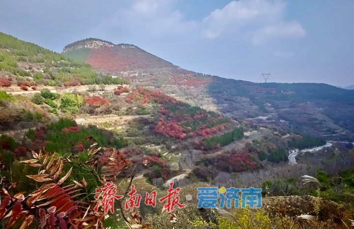 一年四季 泉在济南丨济南劈山进入红叶最佳观赏期