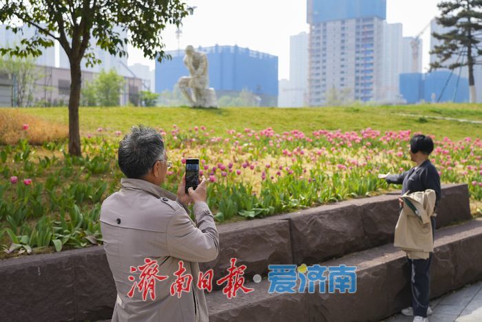 “郁”见春色，济南这片郁金香绽放