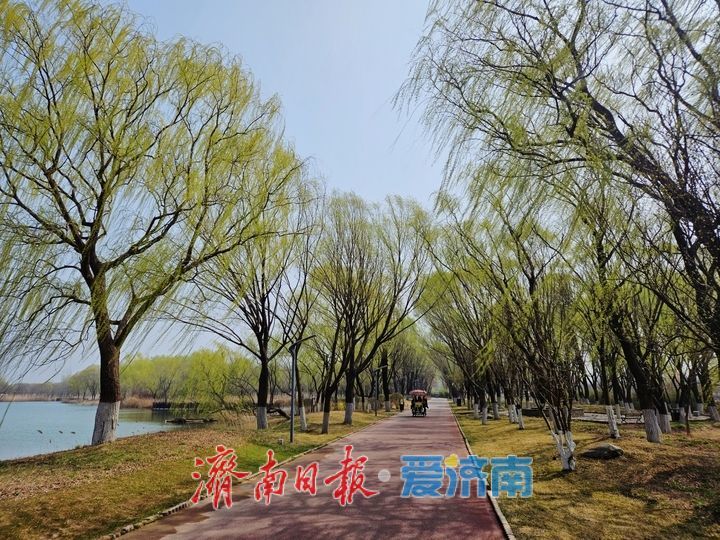 春染湿地美如画 生态济西迎客来