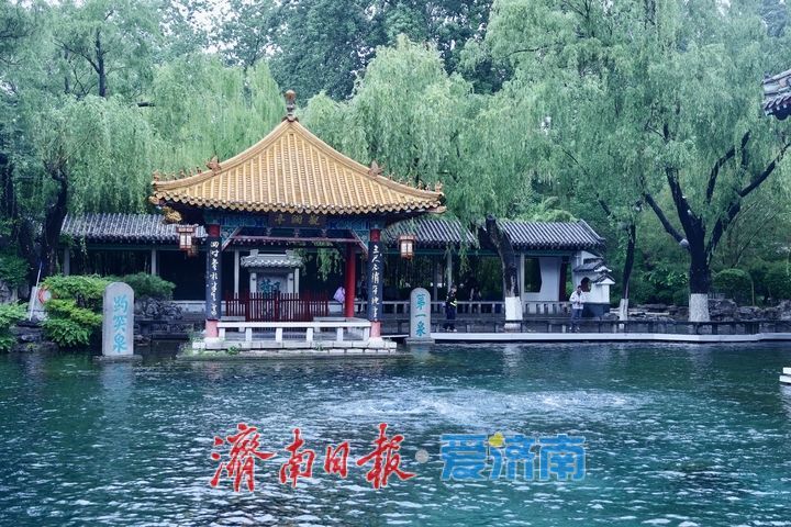 一年四季 泉在济南｜烟雨入泉城 “泉水游”热度不减