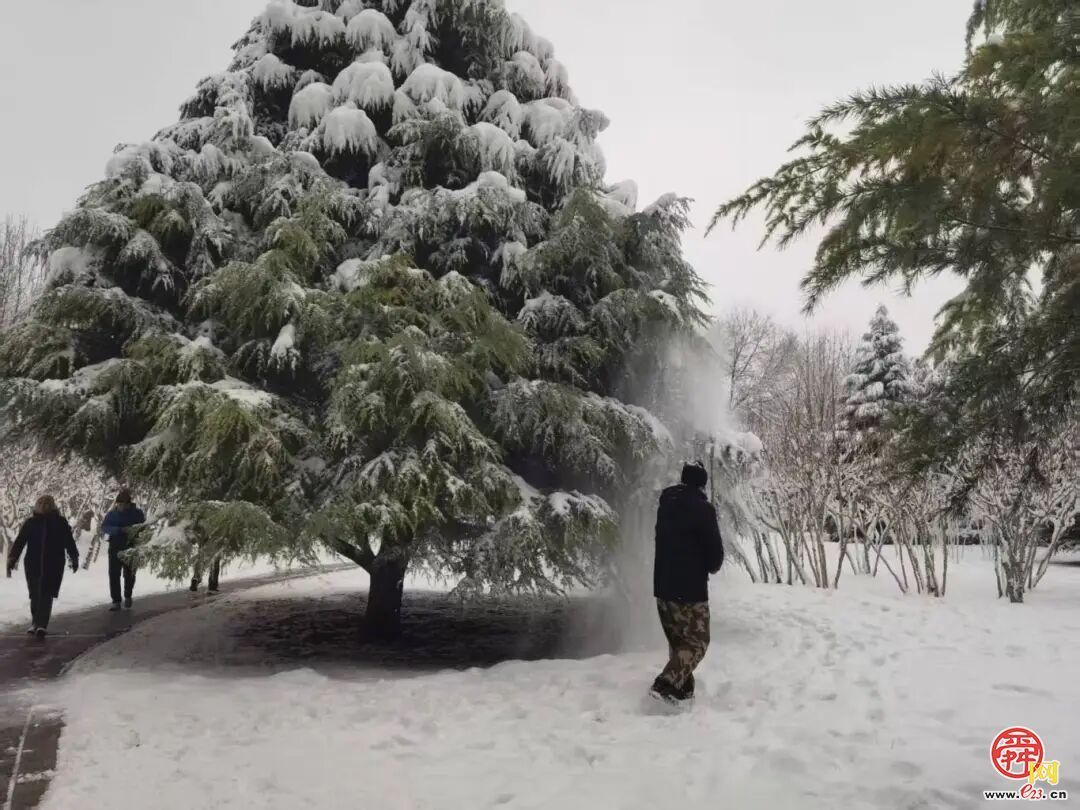 以雪为令践初心，千佛山、动物园等9个公园景区全力护航雪日游园安全