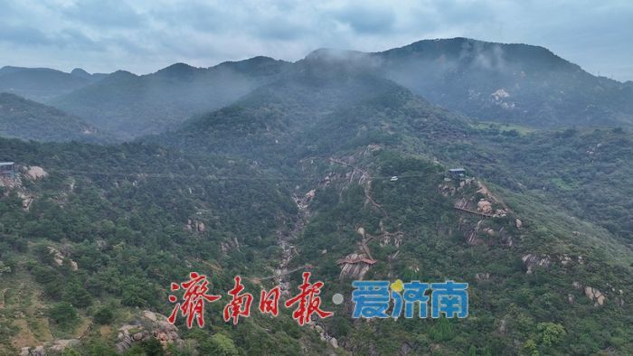 一年四季 泉在济南丨连绵秋雨终放晴 清宁森林小镇云雾缭绕引客来