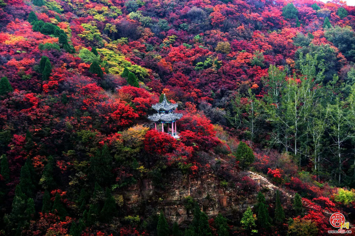 倒计时7天——垛庄镇百峪大顶登山赛即将启幕，邀您共赴诗意山巅，体验文旅盛宴！