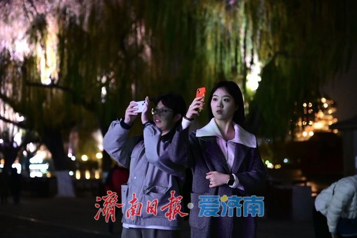 灯映明湖冬亦暖，IP“雨荷”引客来
