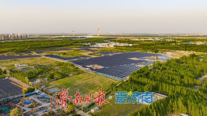 济南首个“渔光互补”光伏项目并网 一地多用催生绿色振兴新动能