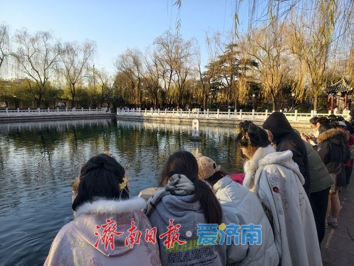 济南珍珠泉碧水锦鲤醉游人