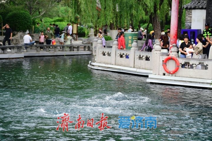 29.15米！水位连涨，“趵突腾空”活力十足