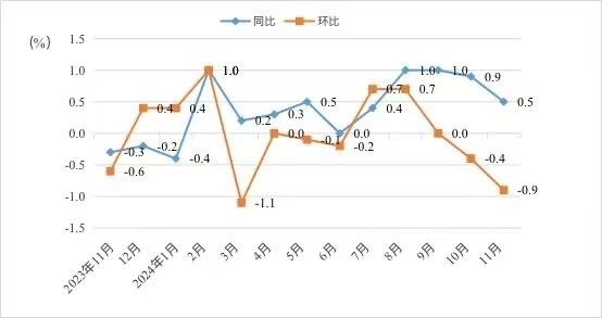 济南：11月份CPI同比上涨0.5%