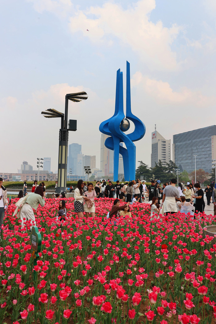 “郁”见美好！济南这里郁金香缤纷盛开，温馨浪漫