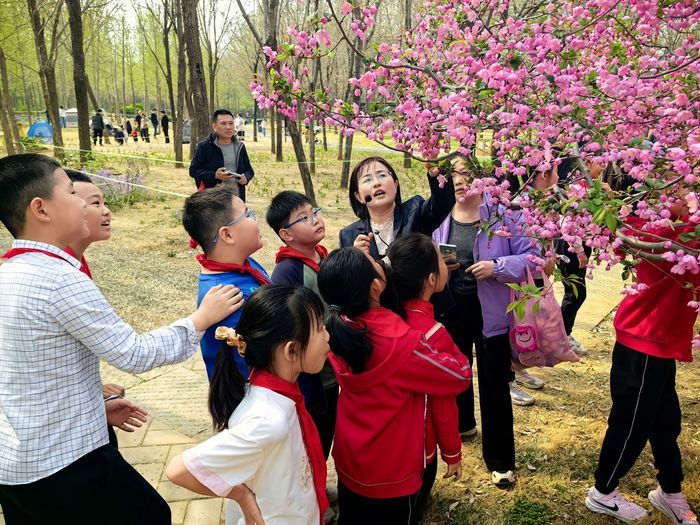 赴春花之约 探自然密语——济南森林公园研学活动趣享春光