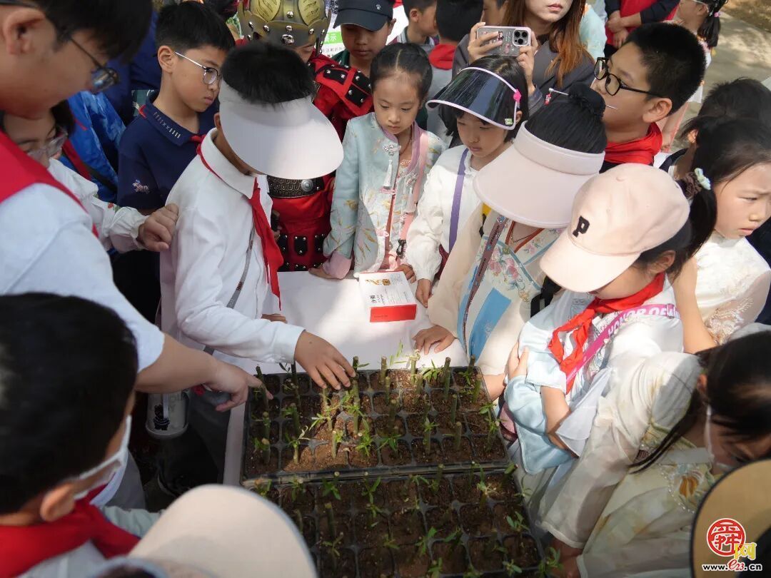 “绿满齐鲁 ——‘森’临其境·守护地球”