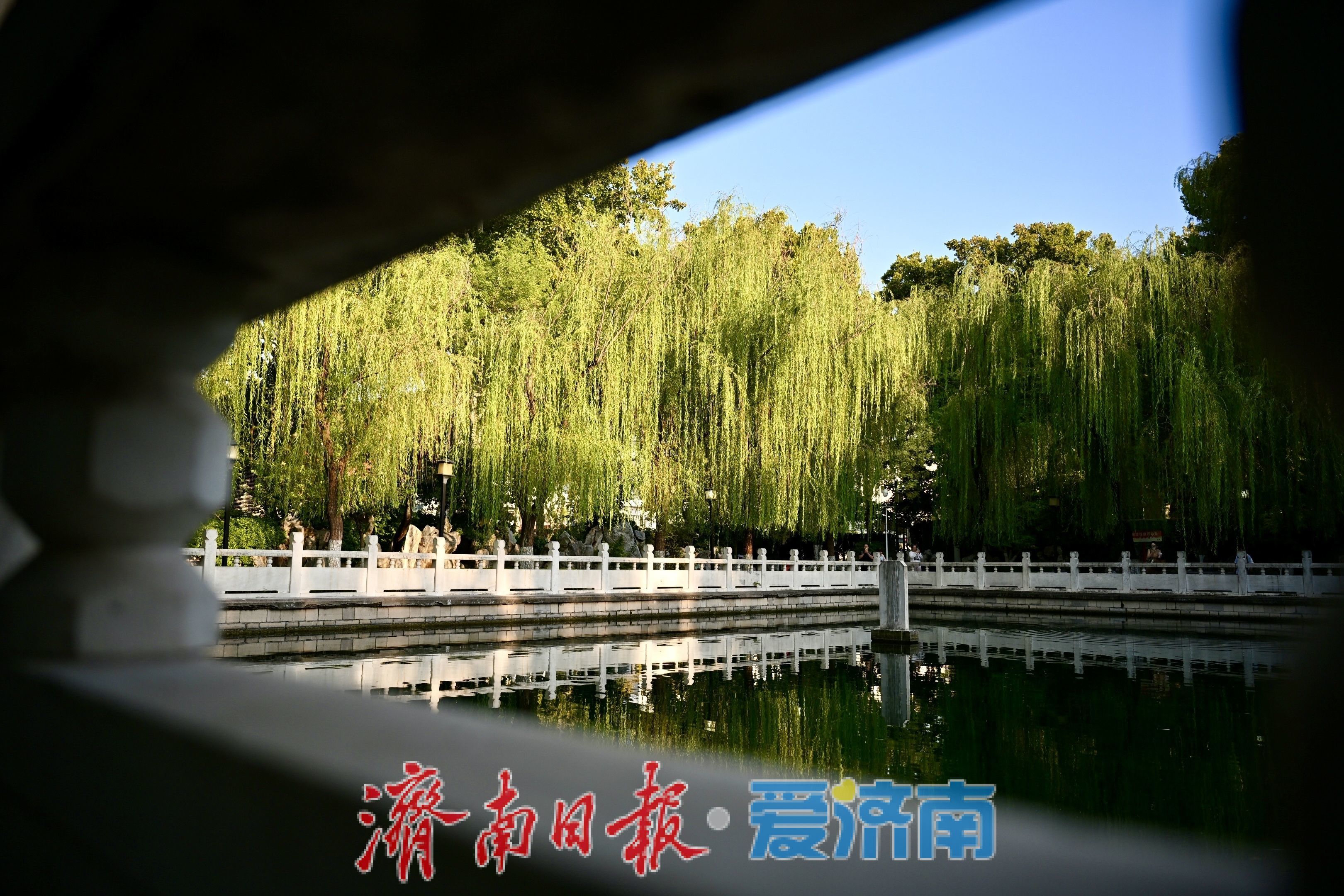 秋染珍珠泉 泉城古韵引游人沉醉