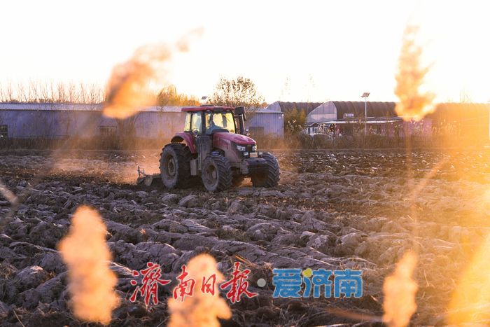 济南吴家堡街道明里村：冬闲人不闲 农田备耕忙