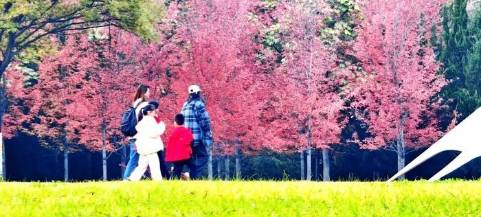 这份秋色图鉴，带您打卡藏在公园里的济南秋景