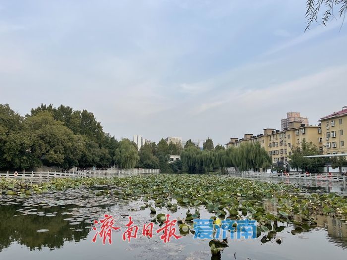一年四季 泉在济南丨秋日无影潭：潭水映秋光，市井藏诗意