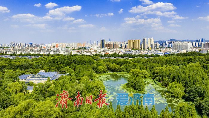 清风伴晴空 绿意满公园 泉城夏日氛围感拉满