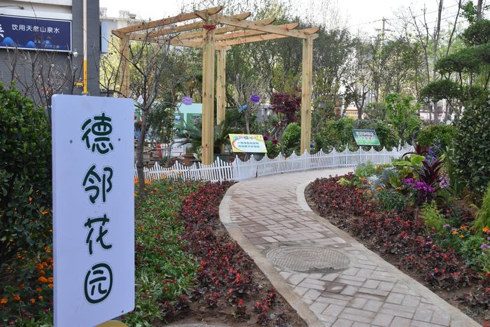 槐荫首个共建花园来了