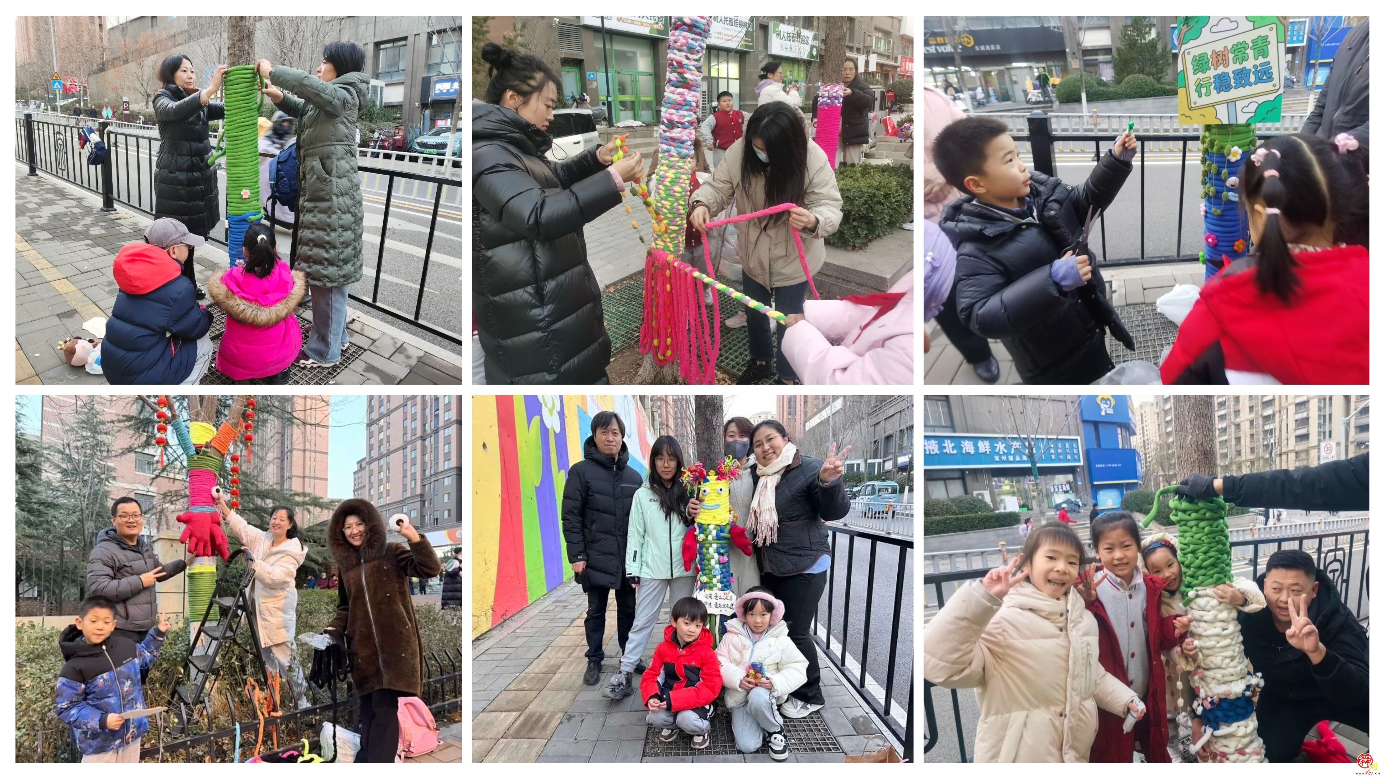 大树过冬有妙招，看东城逸家小学花式 “送温暖”！