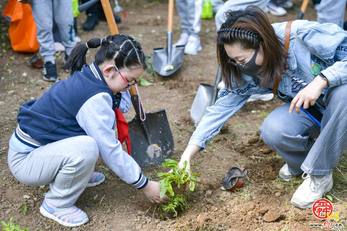 不负春日好时光 植绿护绿共前行——济南市春季全民义务植树活动火热进行中