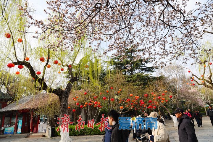 雨后放晴 泉城春光正好