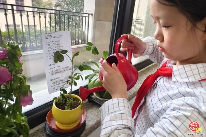 春光作序 植此新绿——济南市历下区龙奥学校植树节主题活动