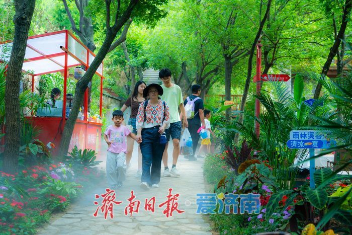 雨林溪谷，清凉一夏！生态避暑胜地点燃端午文旅热潮