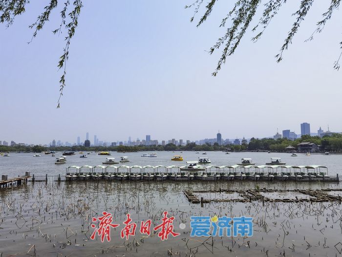 一年四季 泉在济南｜大明湖畔“五一”收官日游人如织