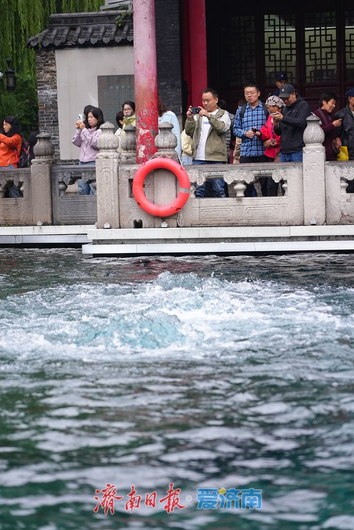 趵突泉水位达29.98米 距30米大关仅一步之遥