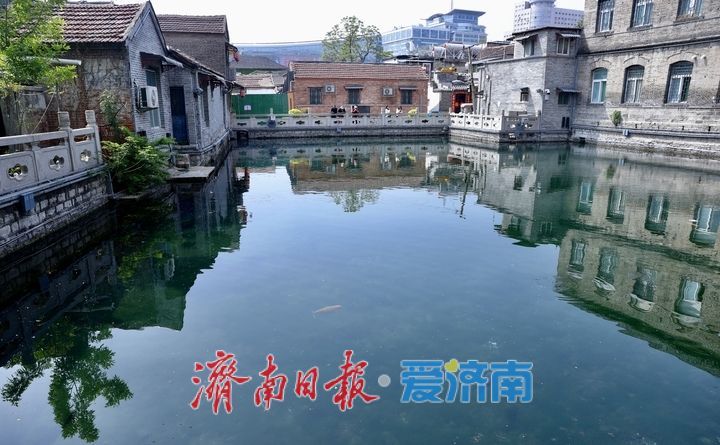 济南王府池子水质清澈见底，春日赏泉正当时