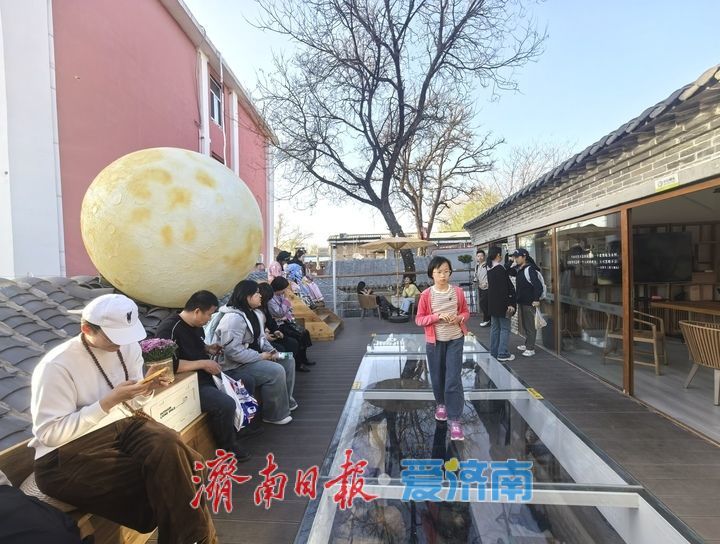 芳菲三月，“空中花园”扮靓济南老街