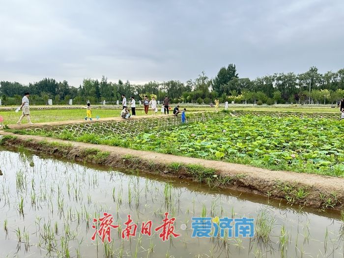 清泉潺潺，白泉公园好消夏