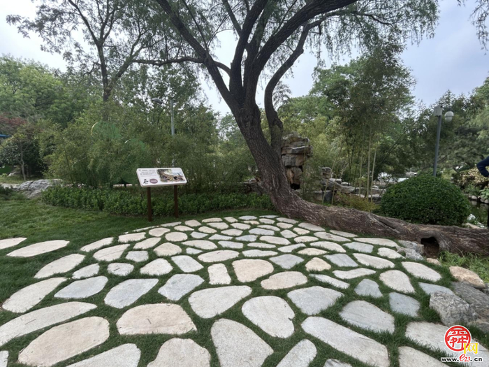 山东省第45届爱鸟周主题活动暨“生境花园”开园在泉城公园举行