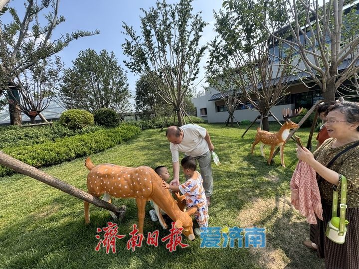 槐苑文化体育公园开放人气高涨 市民乐享夏日休闲时光