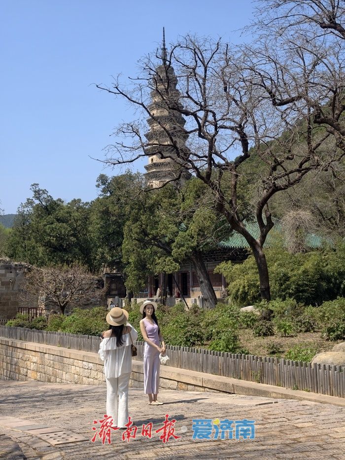 灵岩寺春日文旅热度攀升，千年古刹焕发时代新活�? height=
