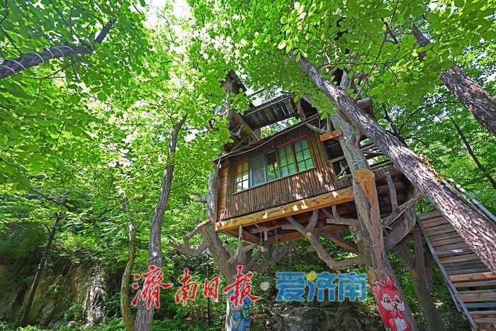 藏翠群山纳清凉！ 红叶谷打造夏日露营新体验
