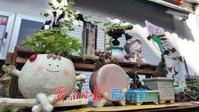 济南英雄山文化市场寻年记：年味里藏着文旅融合新活力