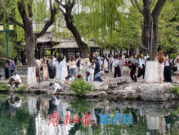 一年四季 泉在济南丨泉城“春日经济”持续升温