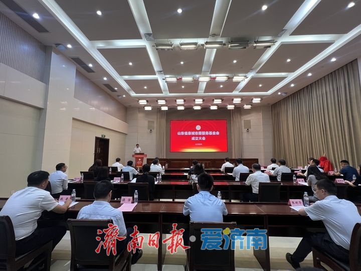 山东省泉城志愿服务基金会成立 杨峰参加会议