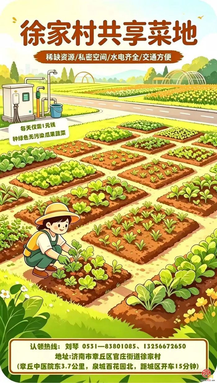 章丘官庄街道徐家村：我在徐家有块地！