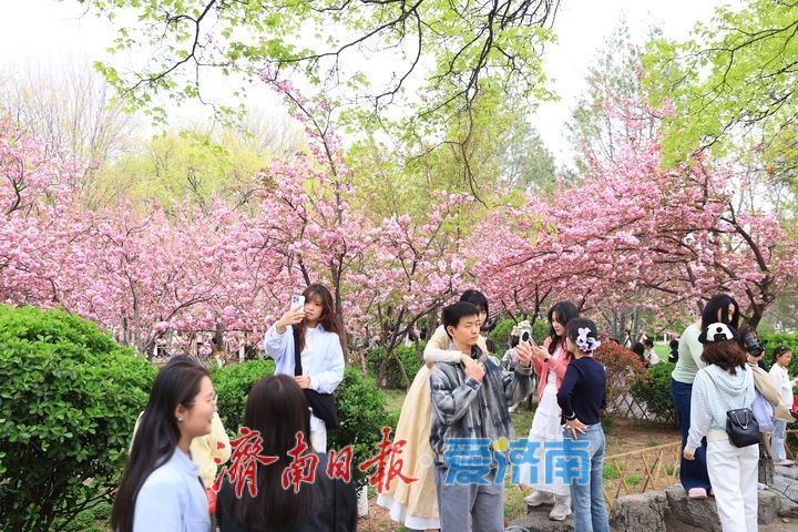 假期最后一天，济南这些地方不要错过！