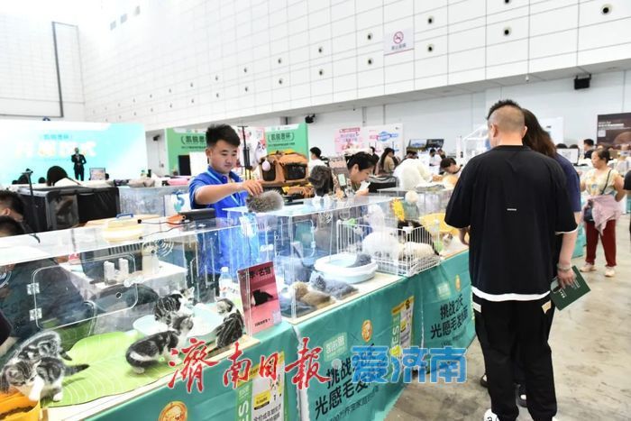 多展齐开！济南会展再迎“最忙周末”