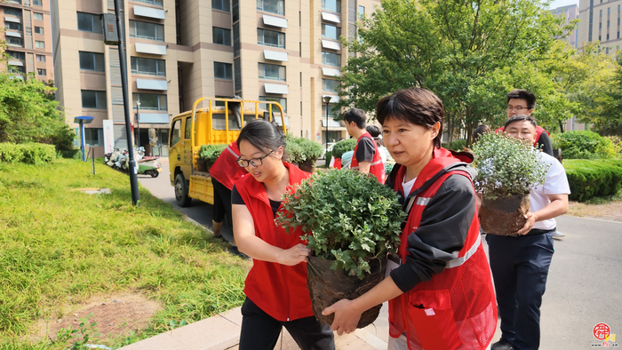 秋润方寸园 绿满邻里家 济南“园·林惠民行”共建花园绿植更新科普实践活动走进舜信社区